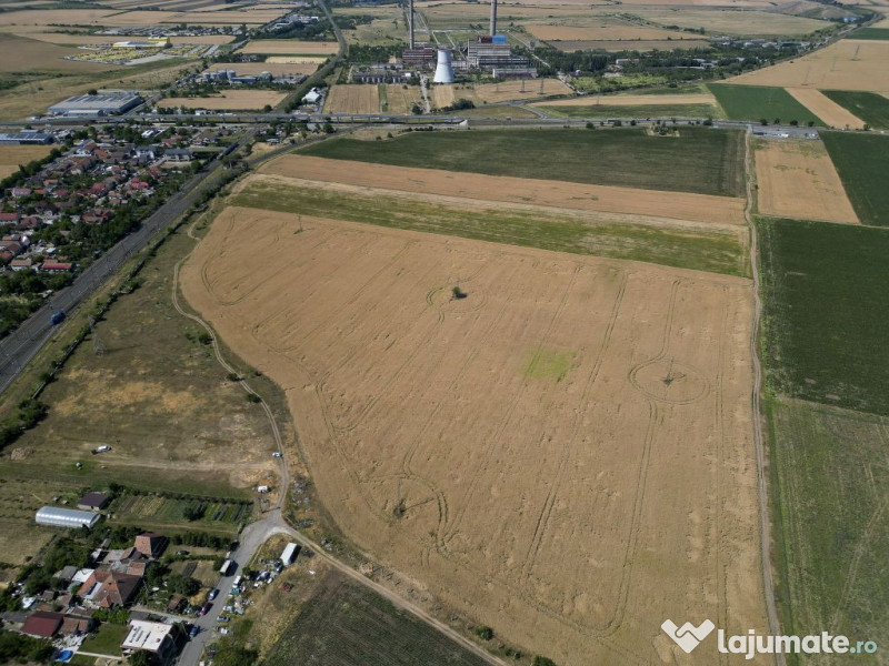 Tern intrevilan 4003 mp 