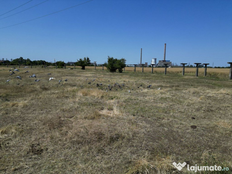 Tern intrevilan 4003 mp 