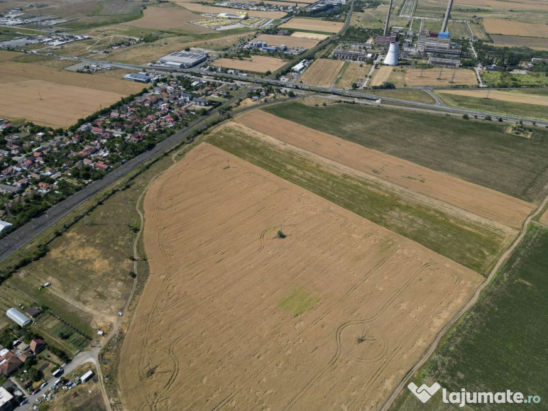 Tern intrevilan 4003 mp 