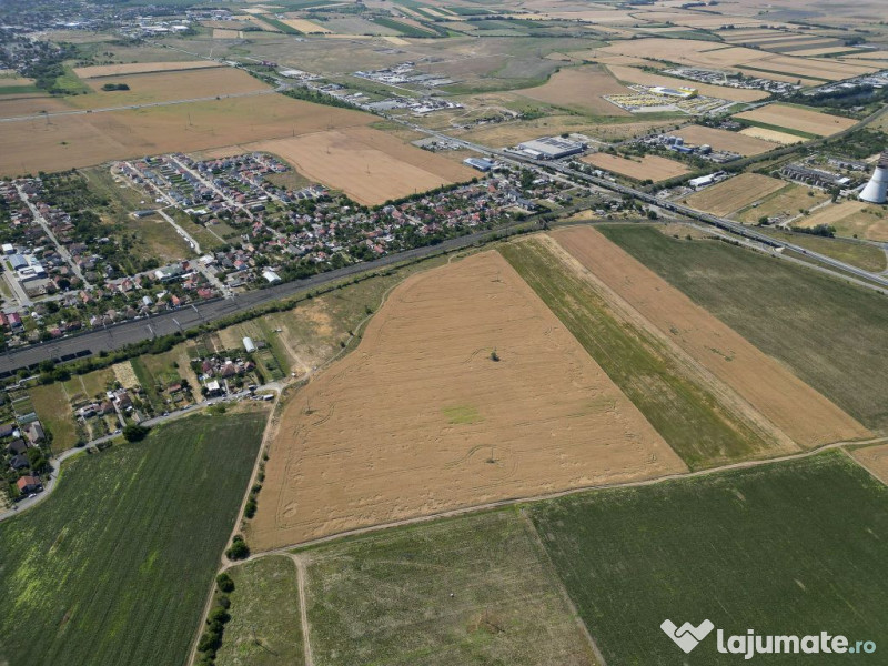 Tern intrevilan 4003 mp 