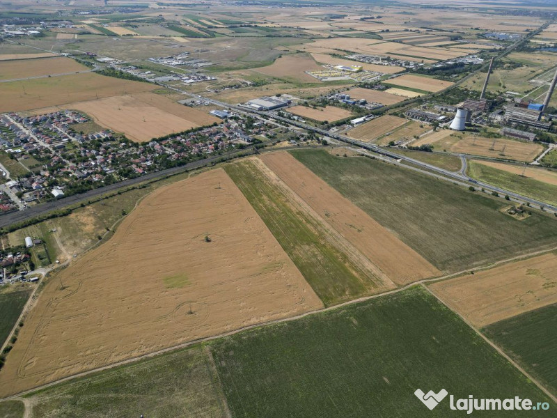 Tern intrevilan 4003 mp 