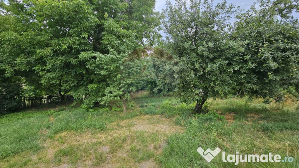 Teren intravilan 2,036mp Pădureni-Șendriceni, Botoșani 