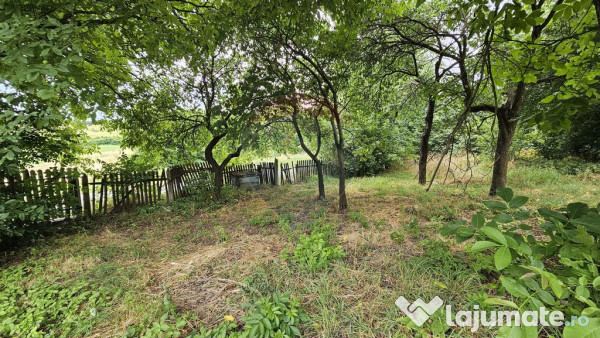 Teren intravilan 2,036mp Pădureni-Șendriceni, Botoșani 