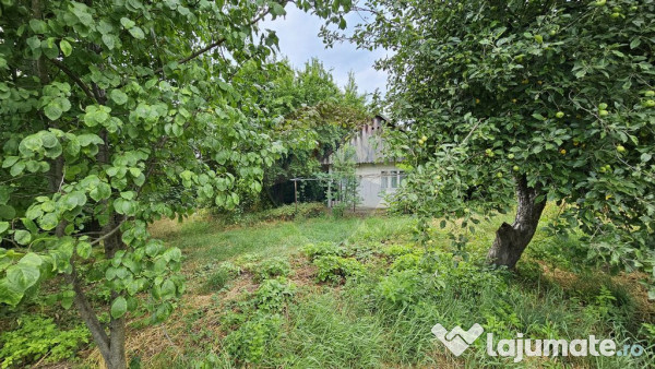 Teren intravilan 2,036mp Pădureni-Șendriceni, Botoșani 