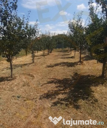 0% Comision - 2095 mp TEREN INTRAVILAN - SERBOENI ARGES