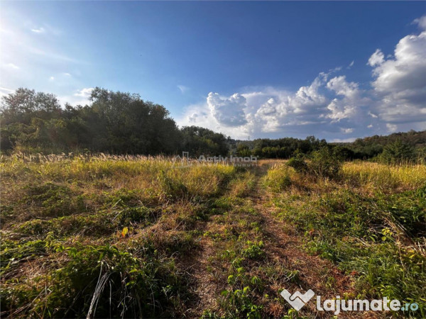 Bocsa Teren 9400 Mp Intravilan 