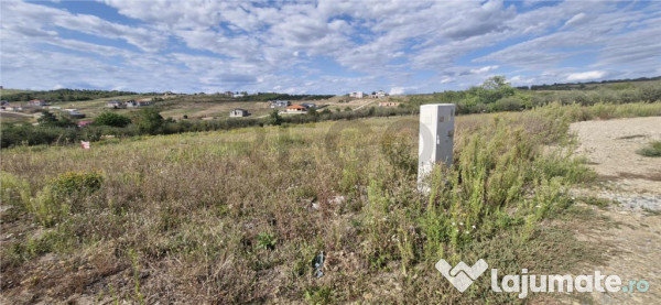 RECO Teren intravilan in Saldabagiu de Munte 