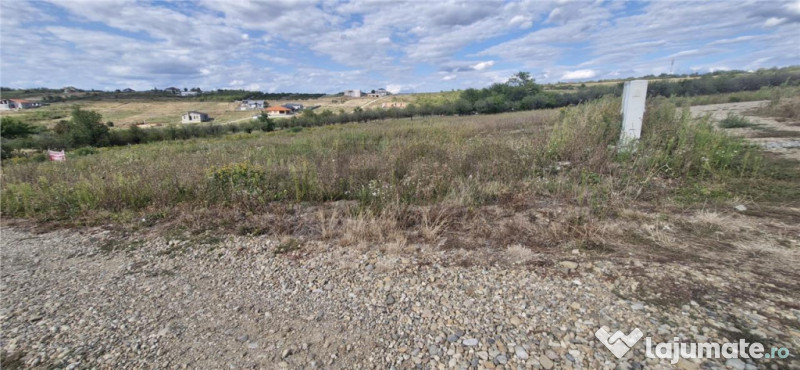 RECO Teren intravilan in Saldabagiu de Munte 