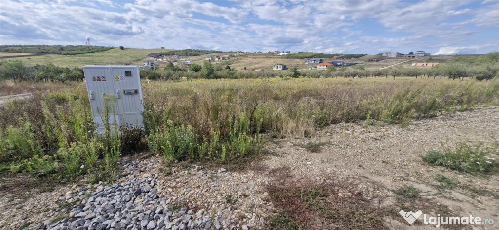 RECO Teren intravilan in Saldabagiu de Munte 