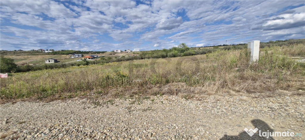 RECO Teren intravilan in Saldabagiu de Munte 