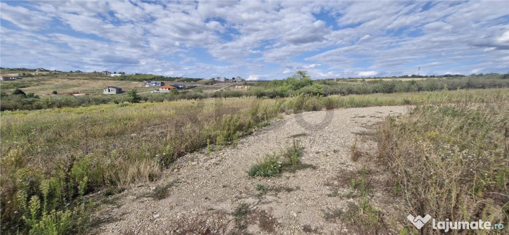 RECO Teren intravilan in Saldabagiu de Munte 