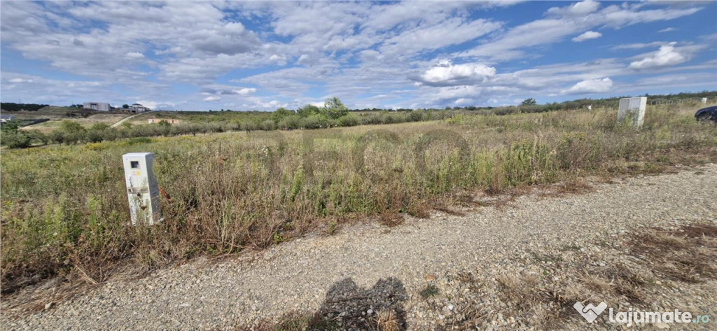 RECO Teren intravilan in Saldabagiu de Munte 