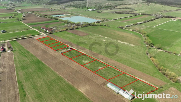 RECO , teren intravilan, Ineu,Bihor 