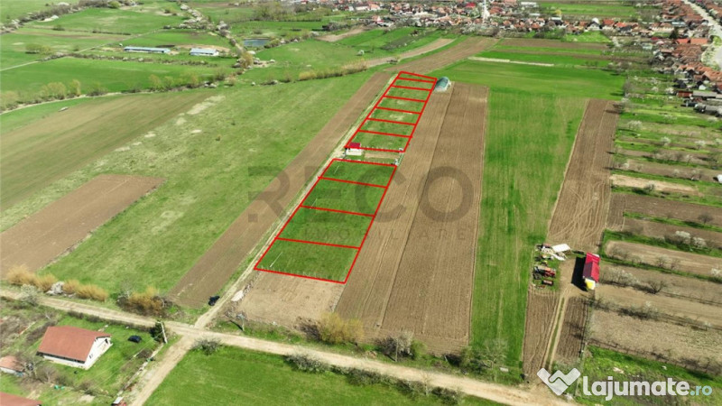 RECO , teren intravilan, Ineu,Bihor 