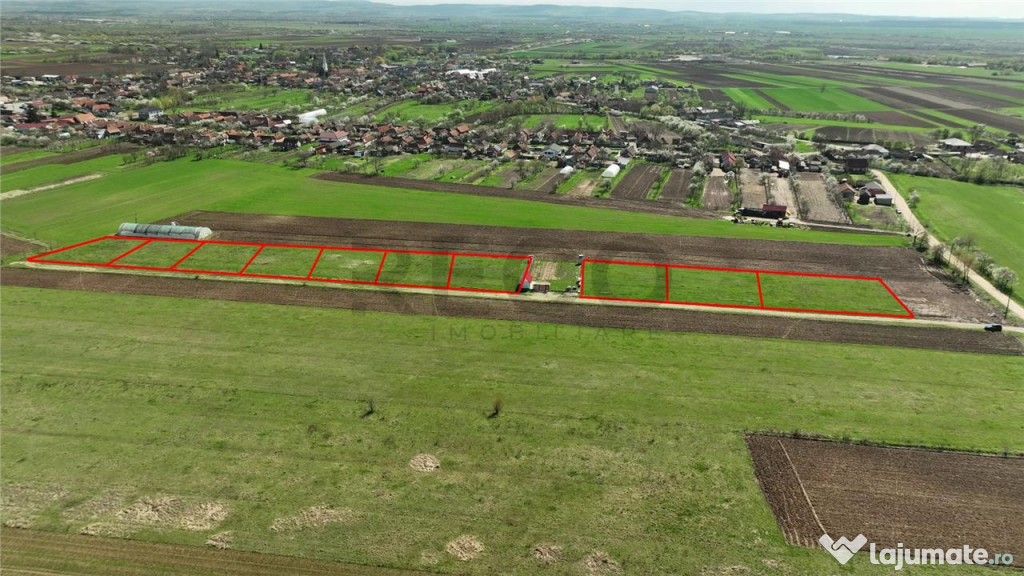 RECO , teren intravilan, Ineu,Bihor 