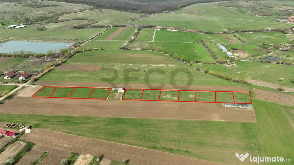 RECO , teren intravilan, Ineu,Bihor 