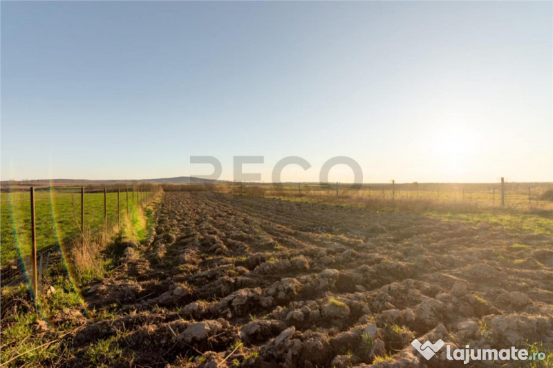 RECO Casa 3 camere, Alparea 