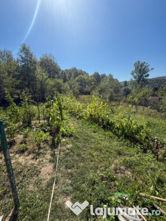 Casa de vacanta sau rezidenta in Adunati, buget redus 