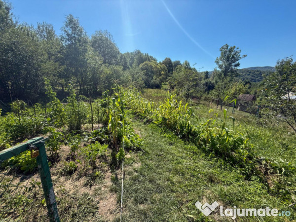 Casa de vacanta sau rezidenta in Adunati, buget redus 