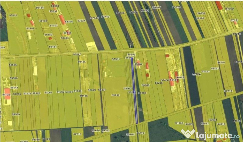 Targu Neamt, Punct Manesti, cota parte 1/2, ID: R2759104 