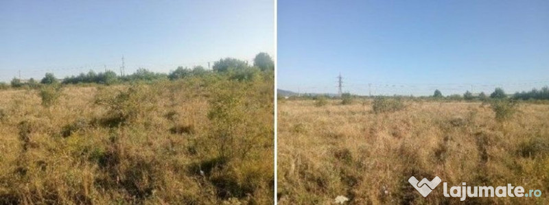 Targu Neamt, Punct Manesti, cota parte 1/2, ID: R2759104 