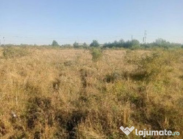 Targu Neamt, Punct Manesti, cota parte 1/2, ID: R2759104 