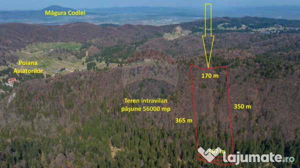 Teren intravilan, 56000 mp, Poiana Braşov 