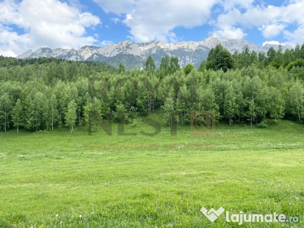 COMISION 0%! Teren superb la Plaiul Foii, pe malul Barsei 