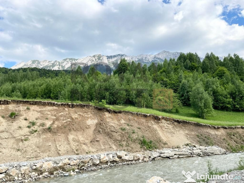 COMISION 0%! Teren superb la Plaiul Foii, pe malul Barsei 