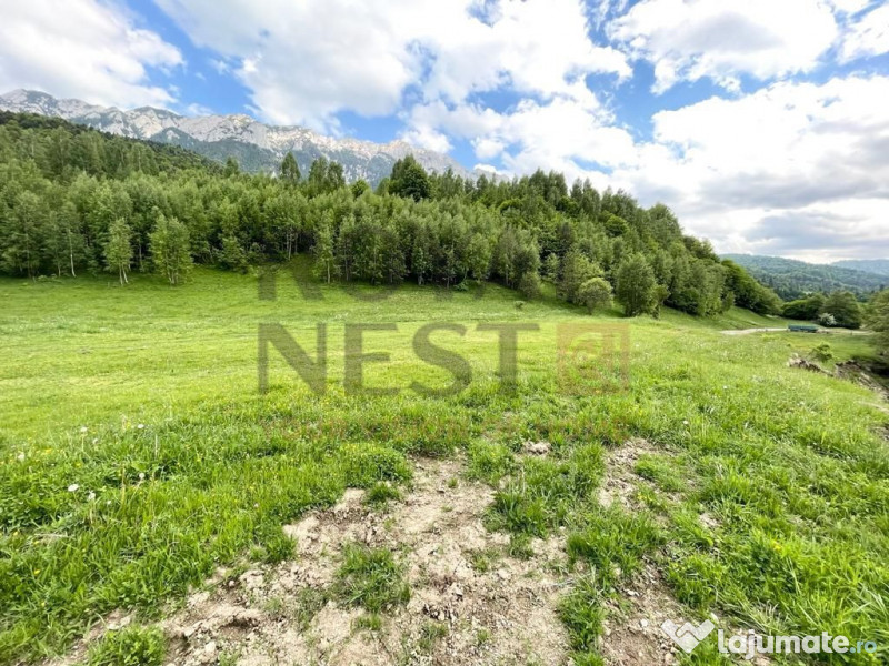 COMISION 0%! Teren superb la Plaiul Foii, pe malul Barsei 