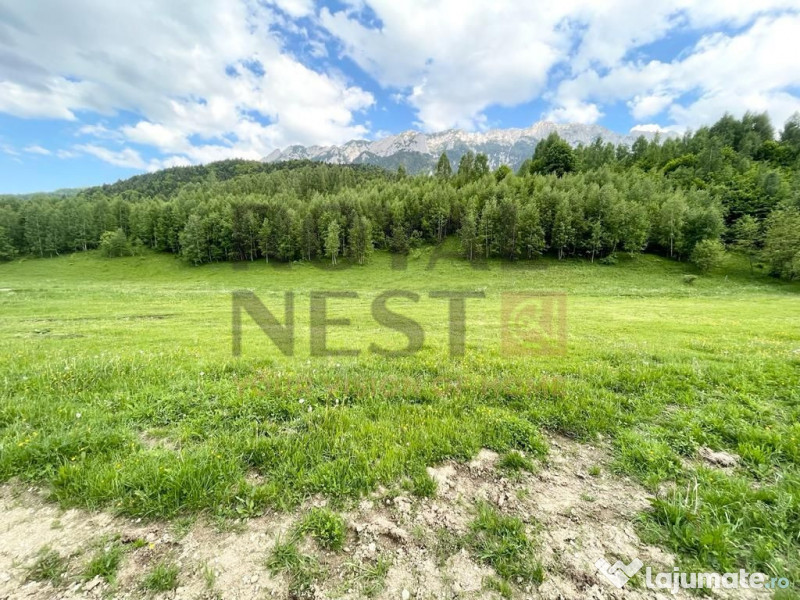 COMISION 0%! Teren superb la Plaiul Foii, pe malul Barsei 