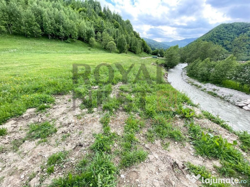 COMISION 0%! Teren superb la Plaiul Foii, pe malul Barsei 