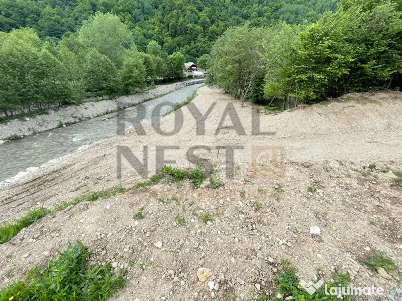 COMISION 0%! Teren superb la Plaiul Foii, pe malul Barsei 