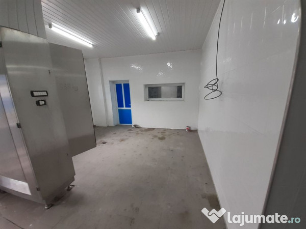 Hala - flux DSV - domeniu alimentar - productie sau catering 