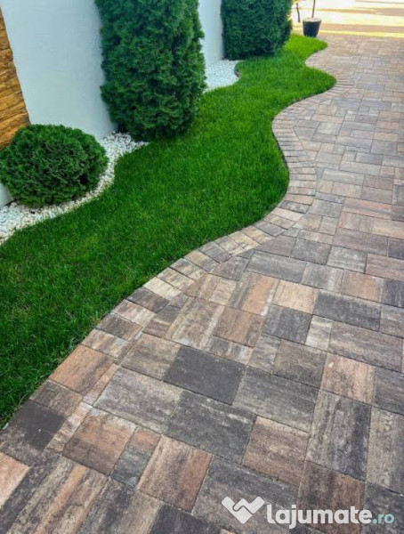 Pavele/Borduri toate tipurile