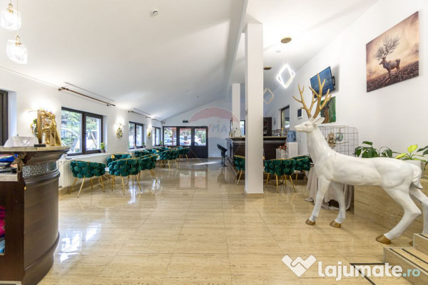 HOTEL "CERBUL CHALET" de vânzare/ zona Râsnov-Pârâul ...
