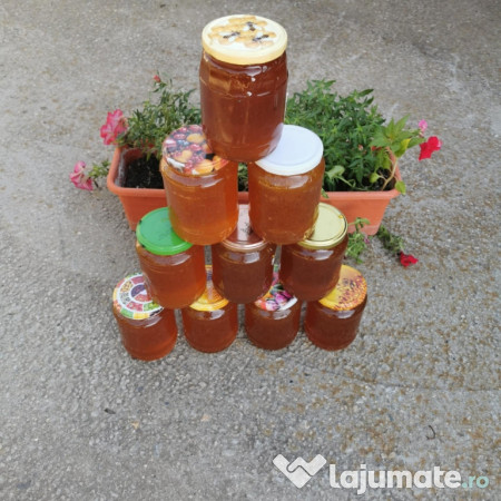 Miere rapiță polifora 