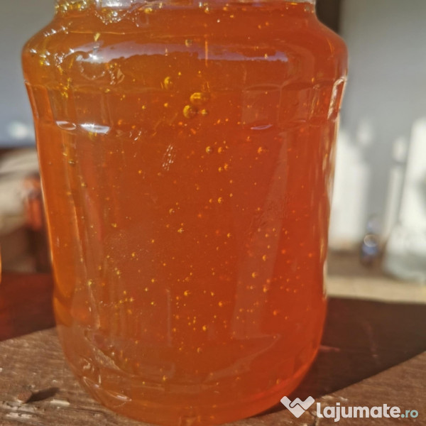 Miere rapiță polifora 