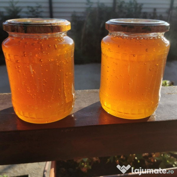 Miere rapiță polifora 