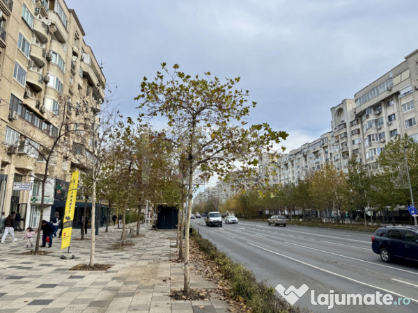 Spatiu Comercial renovat - Bulevardul Decebal