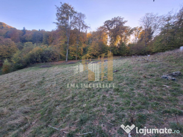 Teren de vanzare 2900 mp Brasov Strada Ciresului 