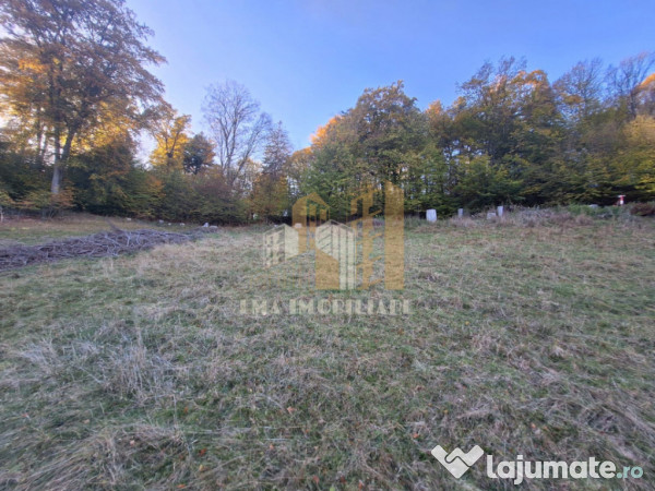 Teren de vanzare 2900 mp Brasov Strada Ciresului 