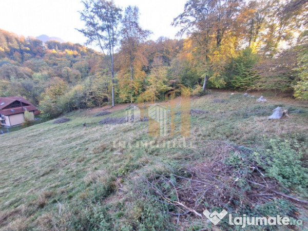 Teren de vanzare 2900 mp Brasov Strada Ciresului 