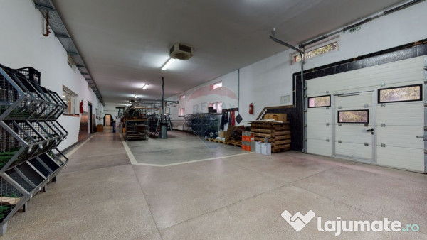 Producție / Depozitare + Birouri – Proprietate industr...
