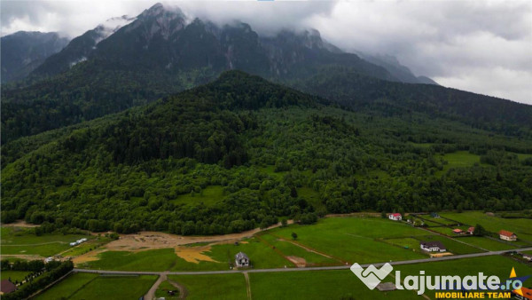 Complex turistic cu traditie,integrat in circuit, Rezervatia 