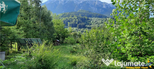 Complex turistic cu traditie,integrat in circuit, Rezervatia 