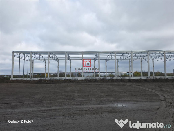 Depozit/hala/spatiu industrial Mogosoaia - Buftea 