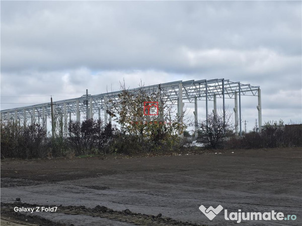 Depozit/hala/spatiu industrial Mogosoaia - Buftea 