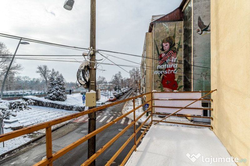 Vila individuala de exceptie Praporgescu Malul Mureșului