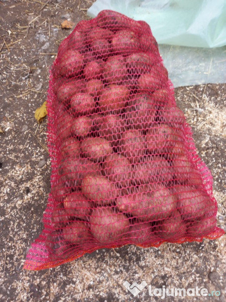 Cartofi rosii si samanta 